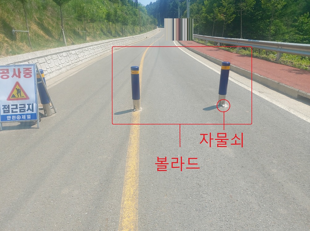 하동편백자연휴양림 -  | 