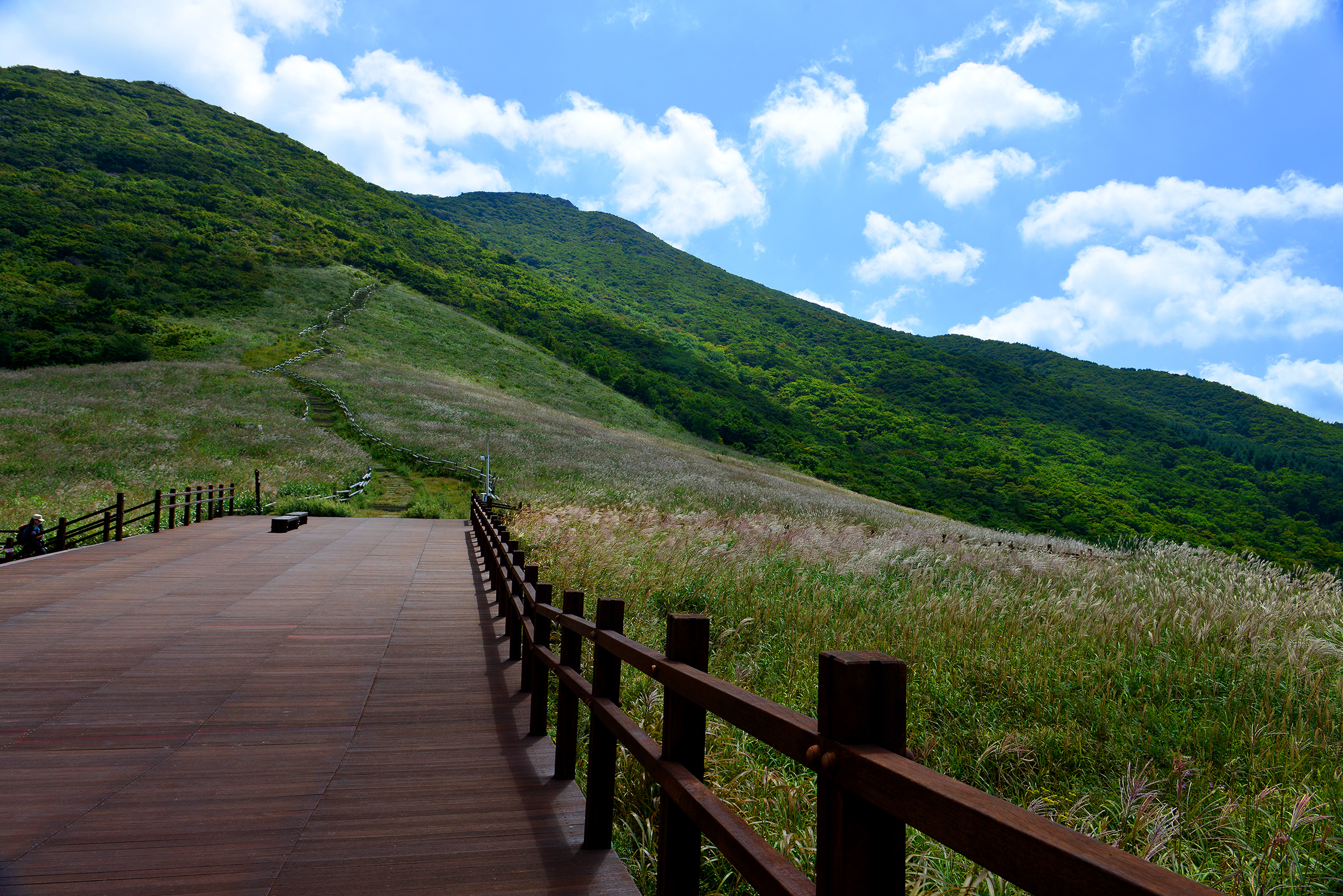 산림청 국립신불산폭포자연휴양림 - |
