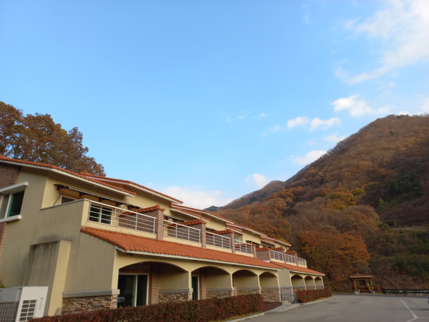 팔공산금화자연휴양림 - |