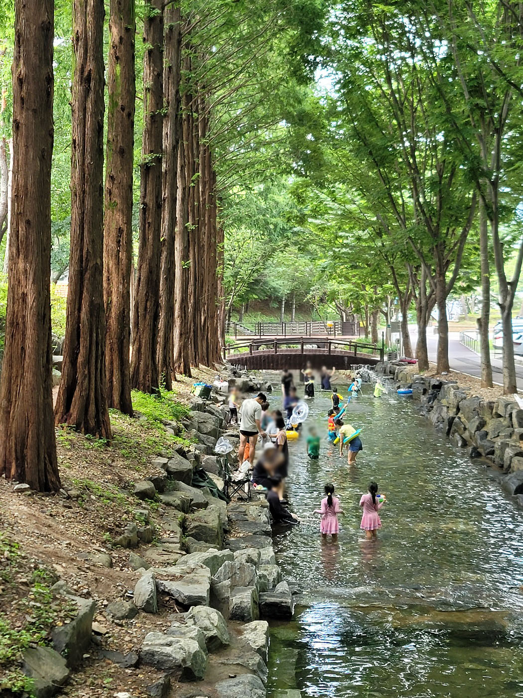 칠갑산자연휴양림 - |